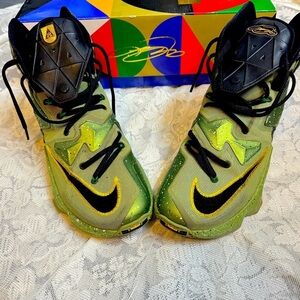 Lebron James 13 shoes